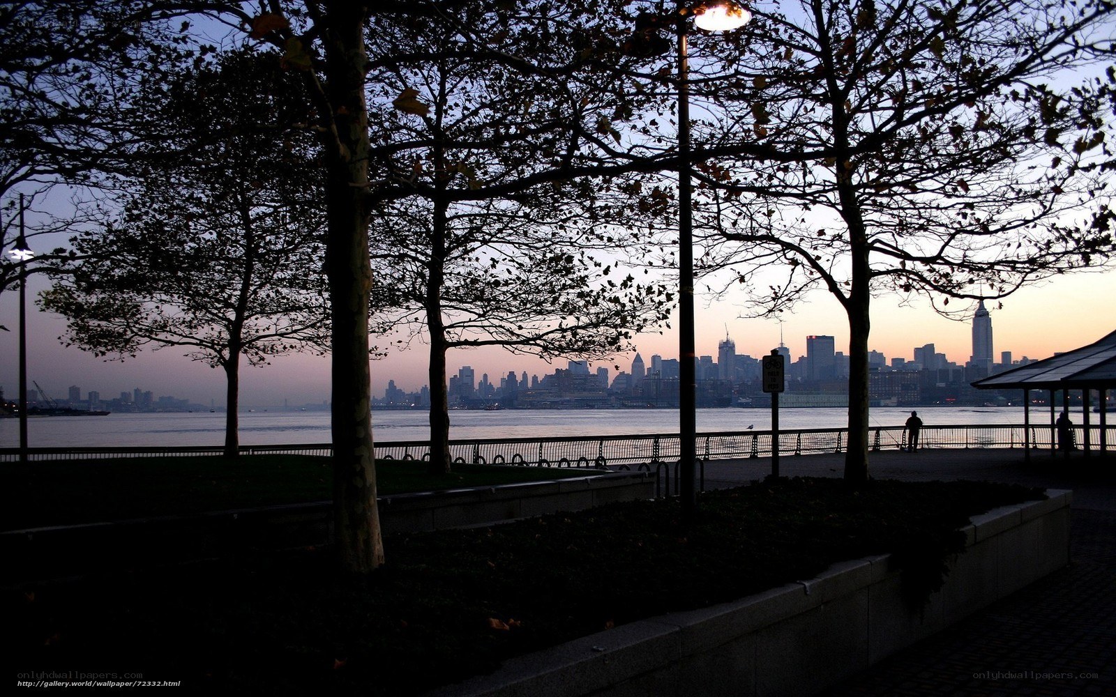 City skyline at dusk from park