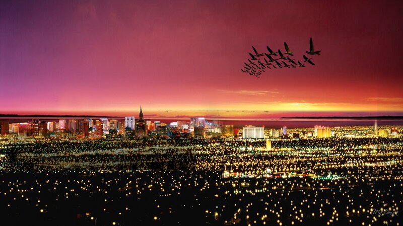 City Skyline at Dusk — Purple, Dramatic, Sunset, Photograph, Birds
