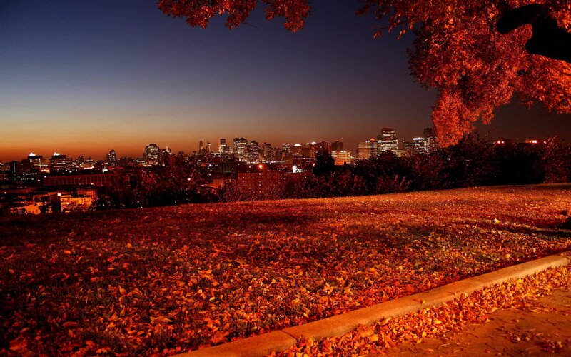 City skyline at dusk with autumn leaves