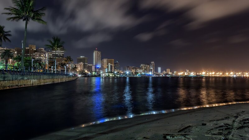 City Skyline at Night — Black, Calm, Photograph, Palm Trees