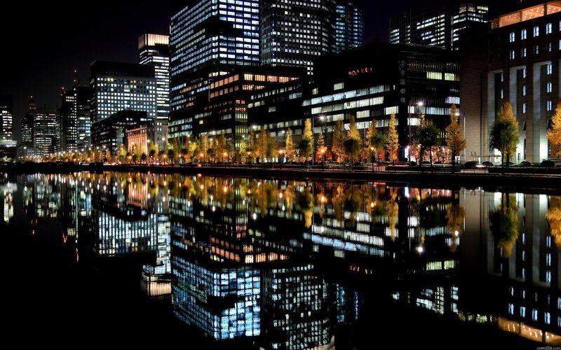 City Skyline at Night — Black, Trees