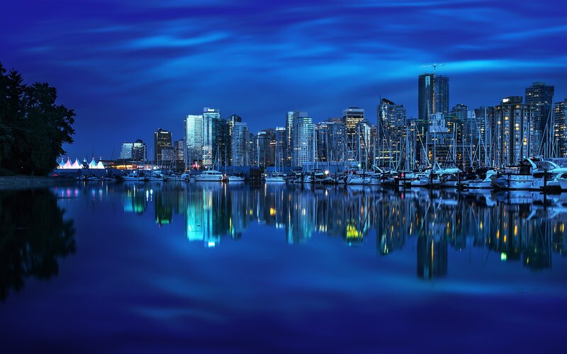 City Skyline at Night — Blue, Serene, Photograph, Skyscraper, Marina, Trees