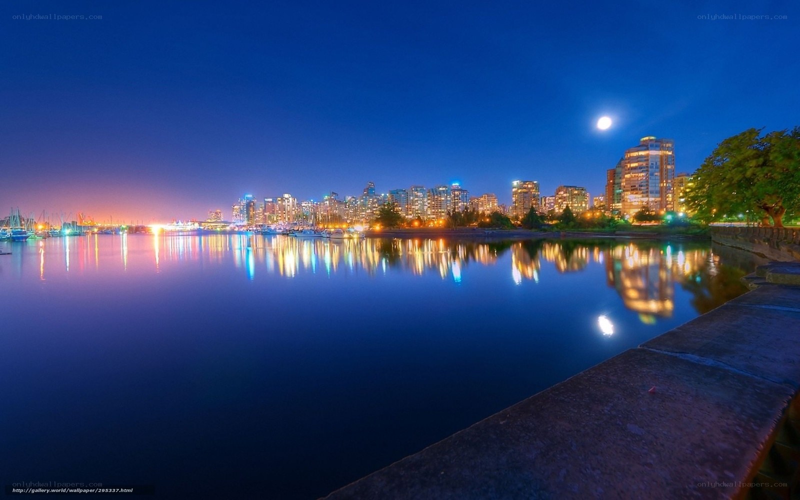 City skyline at night with moon