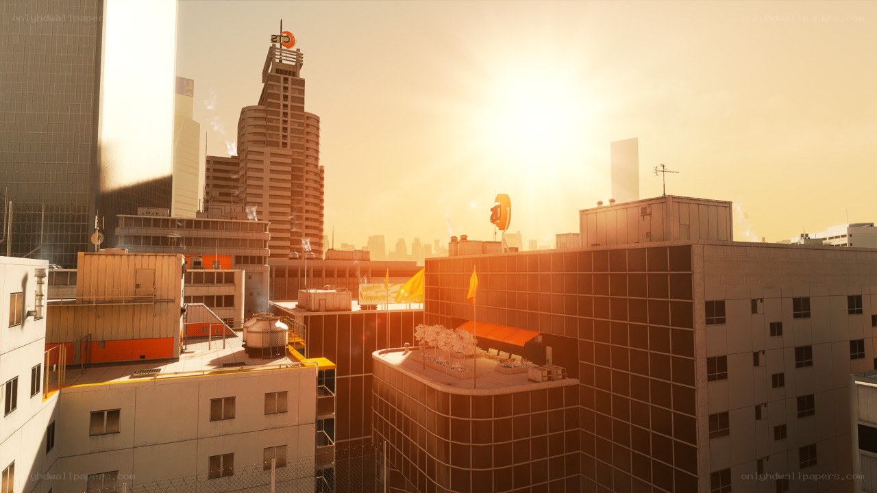 city skyline at sunset