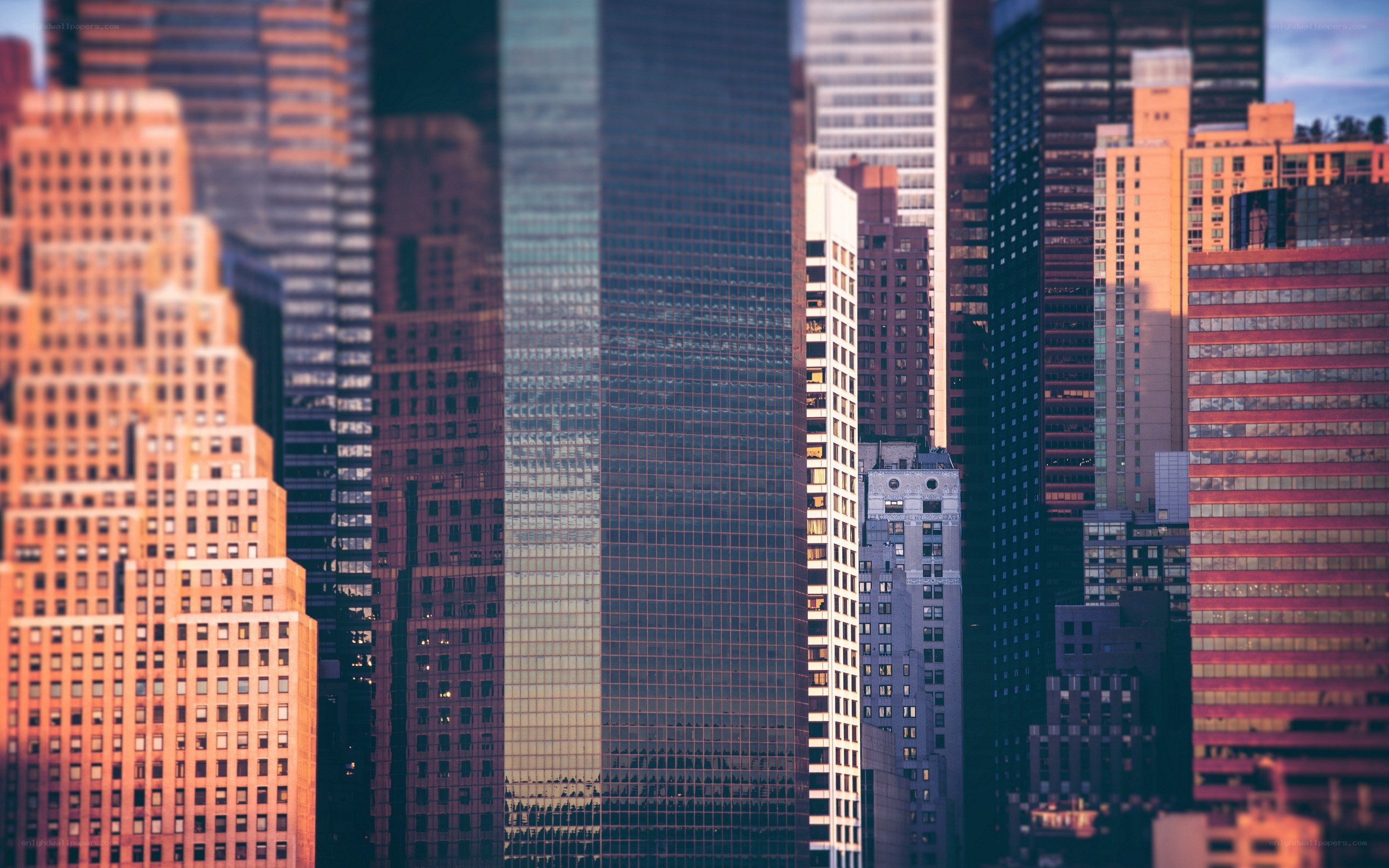 city skyline at sunset