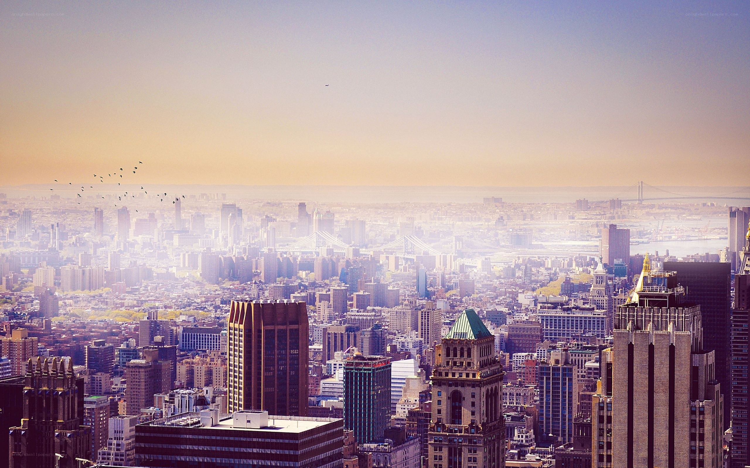 city skyline at sunset