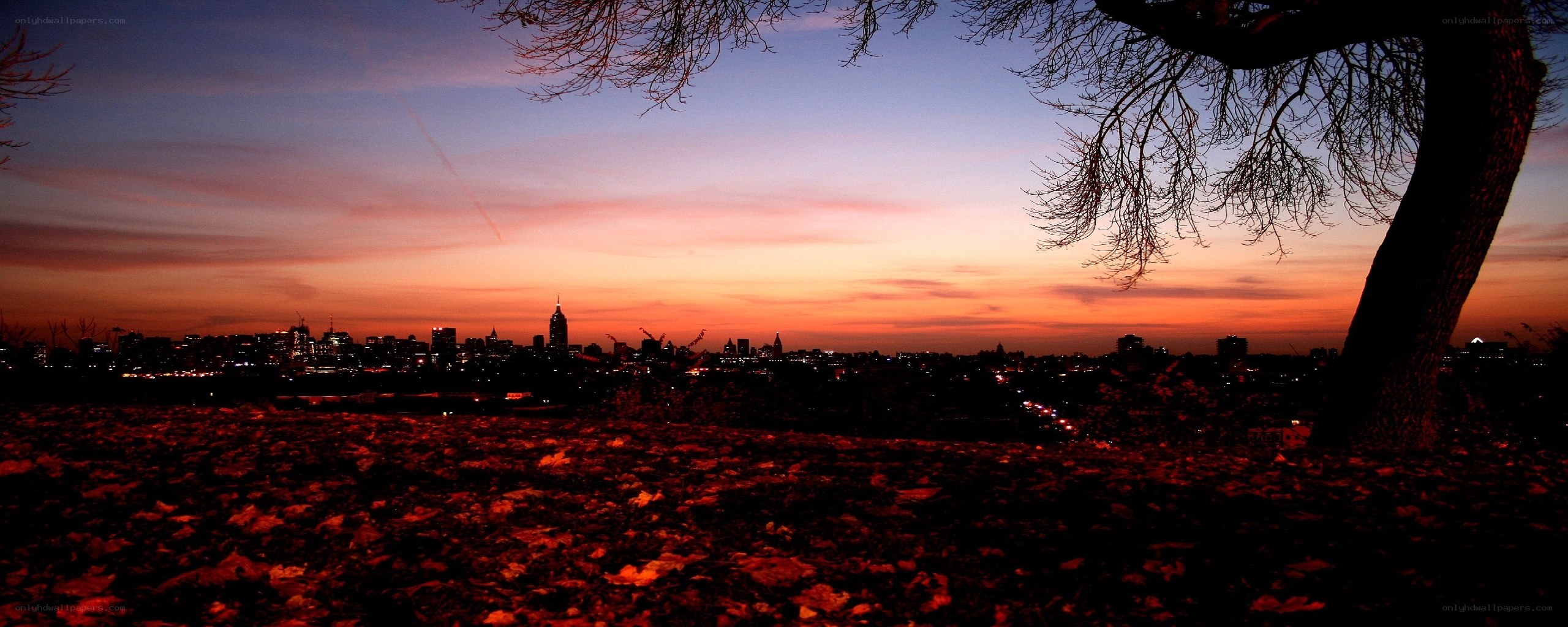 City skyline at sunset