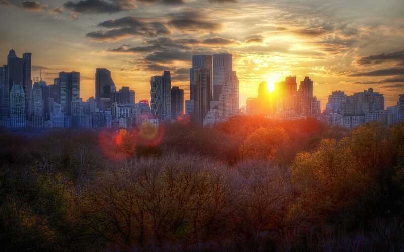 City Skyline at Sunset — Orange, Dramatic, Photograph, Skyscraper, Trees, Sun