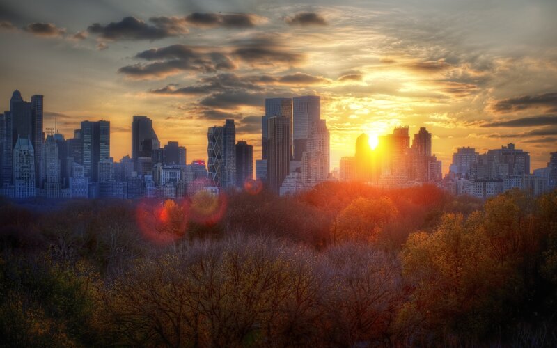 City Skyline at Sunset — Orange, Dramatic, Photograph, Skyscrapers, Trees, Sun, Yellow