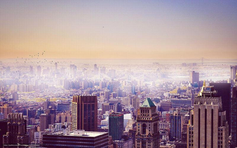 City Skyline at Sunset — Orange, Serene, Photograph, Skyscrapers, Birds