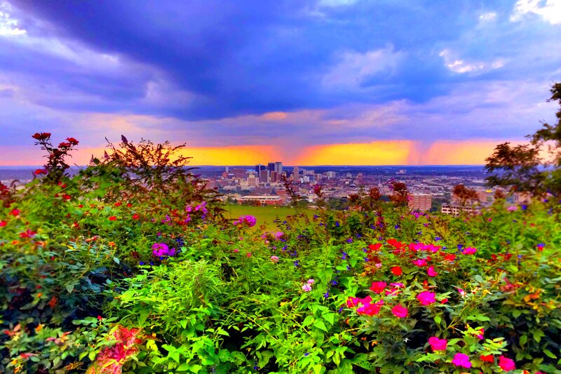 City Skyline at Sunset — Purple, Dramatic, Photograph, Flowers, Sky
