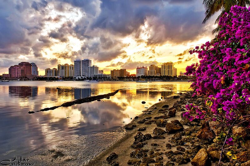 City Skyline at Sunset — Purple, Dramatic, Photograph, Flowers