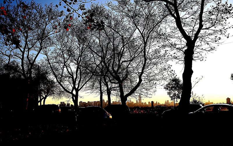 City skyline at sunset through trees
