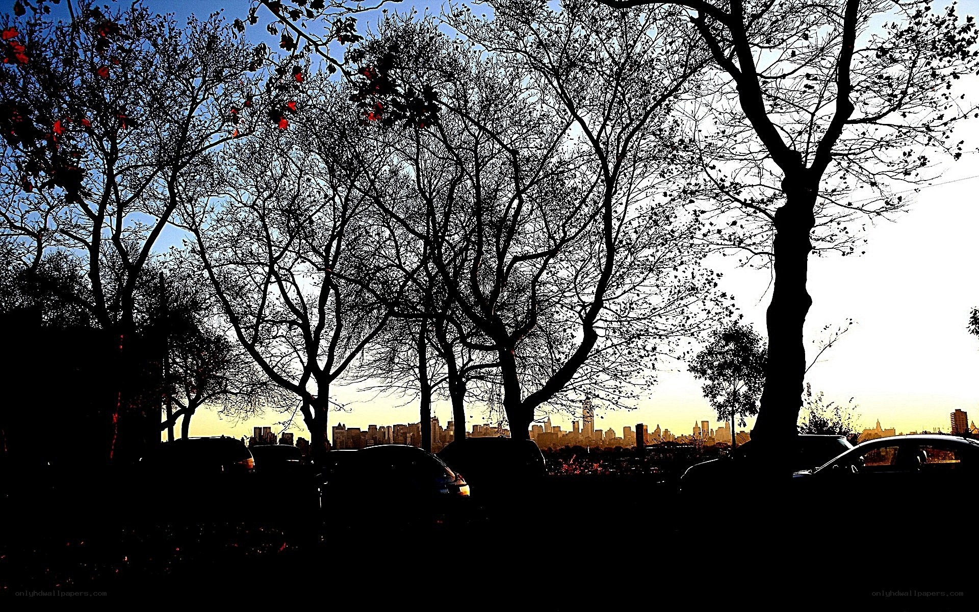 City skyline at sunset through trees