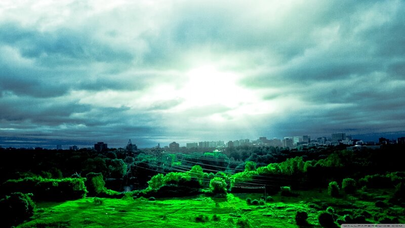 City Skyline Behind Trees — Green