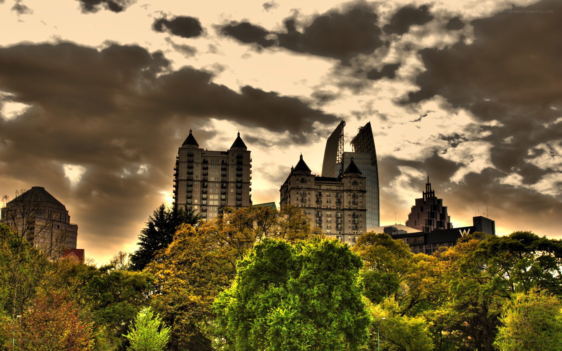 City skyline behind trees
