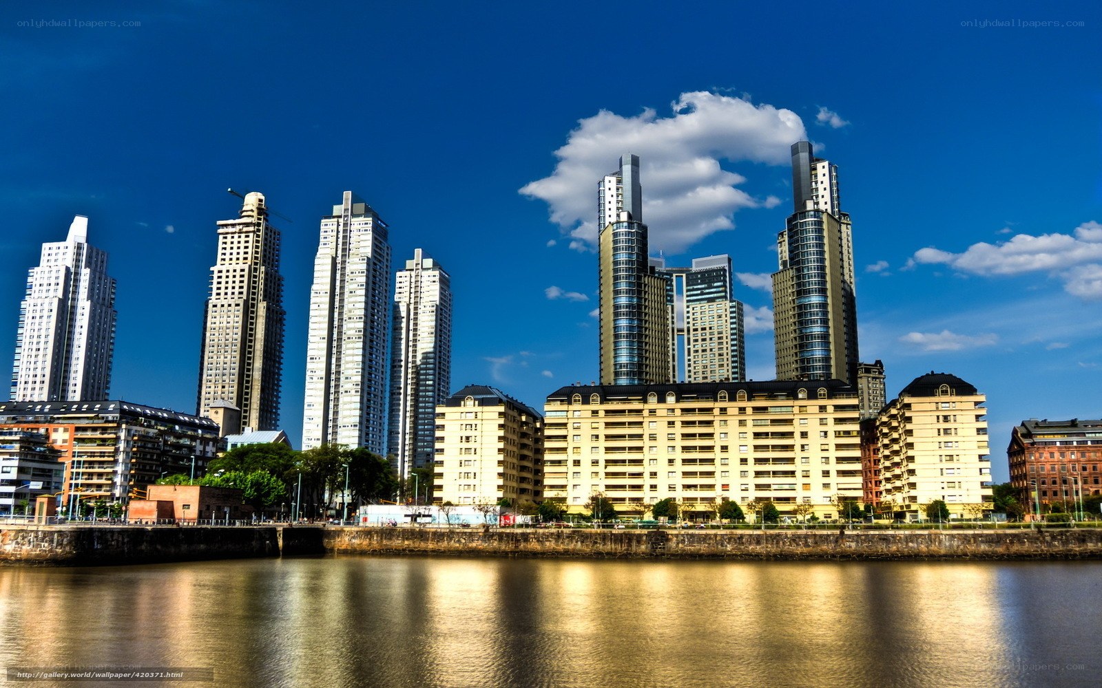 City skyline by the river