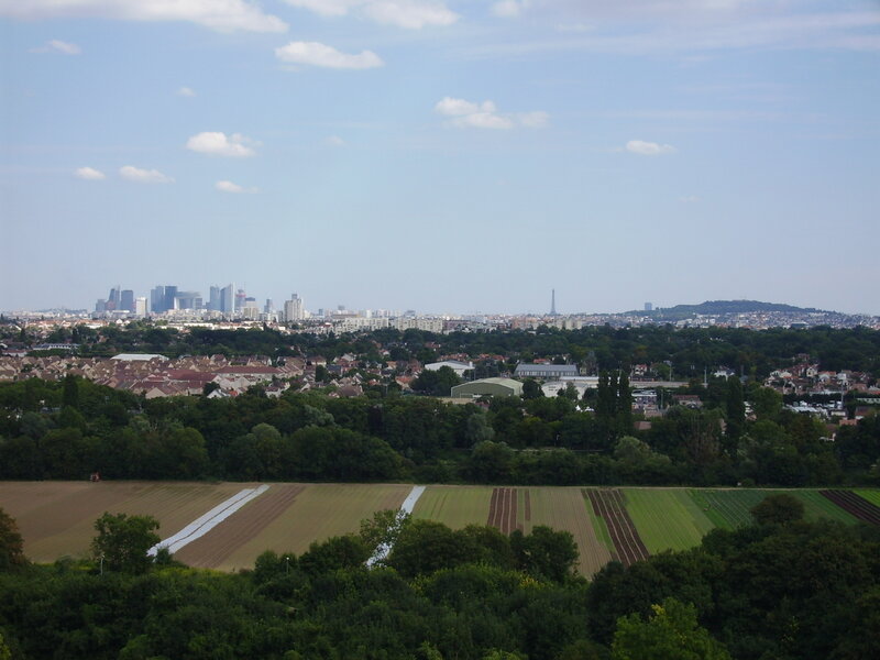 City Skyline from Fields