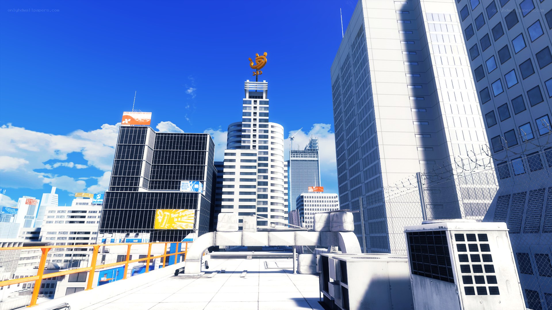city skyline from rooftop
