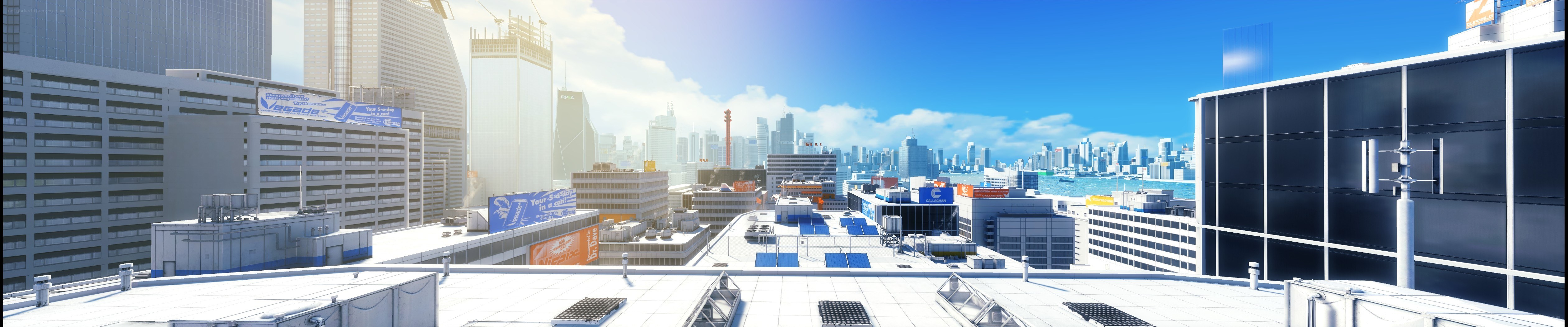 city skyline from rooftop