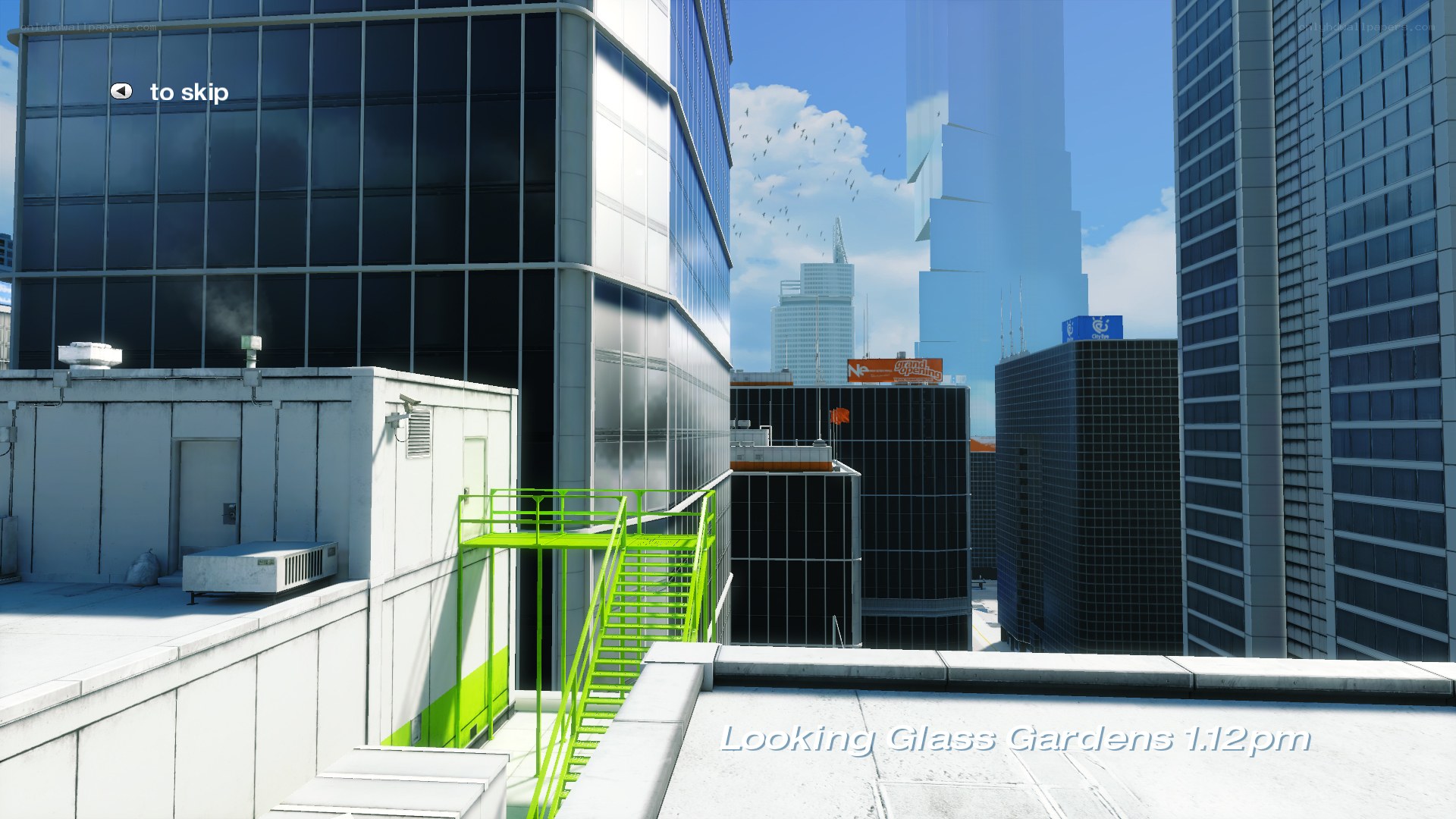 city skyline from rooftop