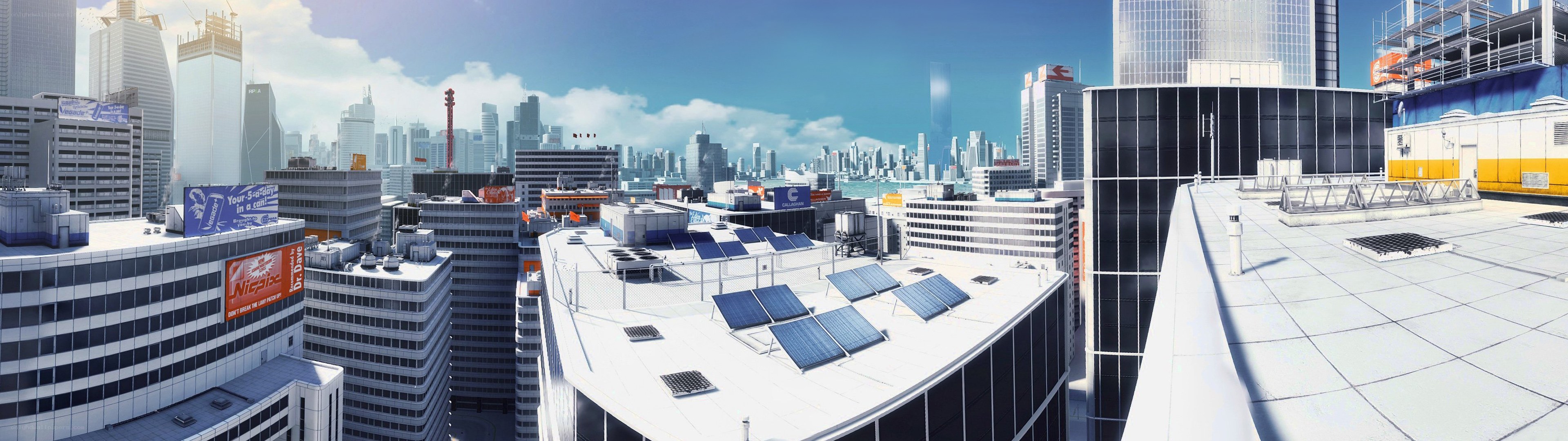 city skyline from rooftop