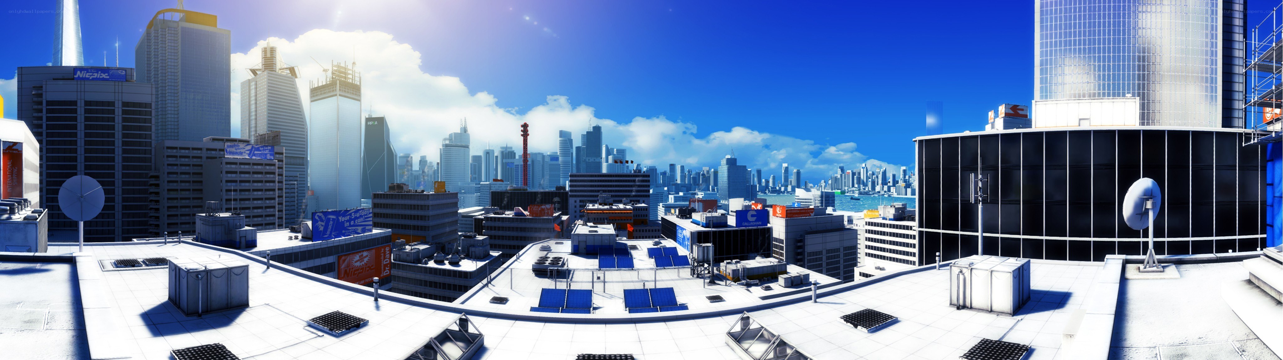 city skyline from rooftop