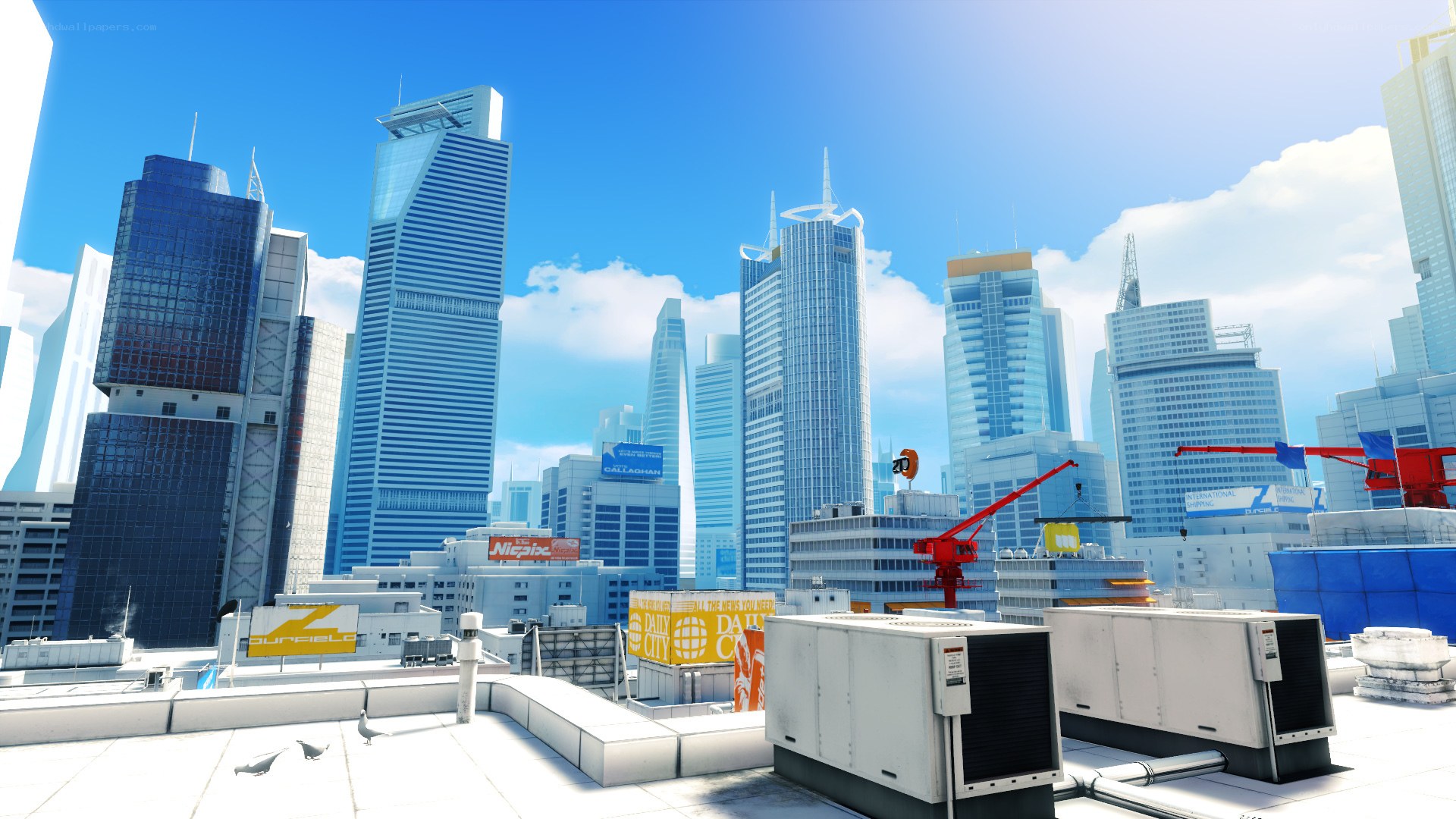 city skyline from rooftop