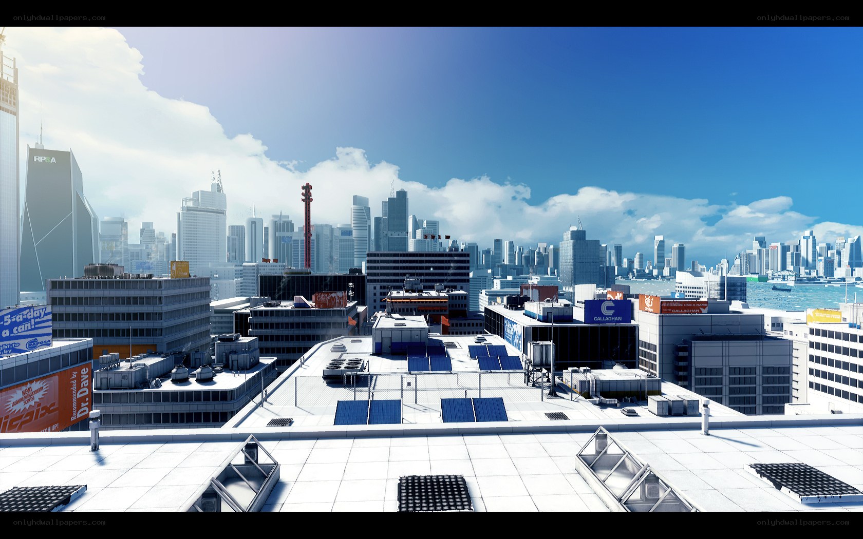 city skyline from rooftop