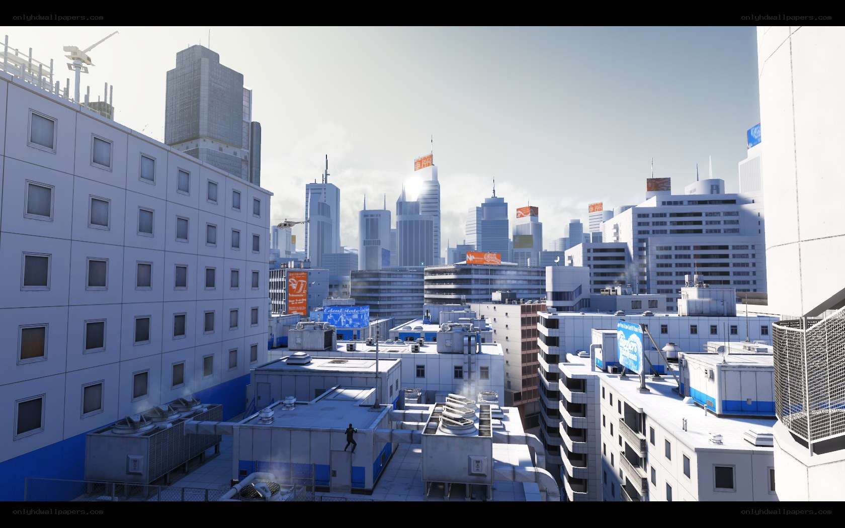 City skyline from rooftop