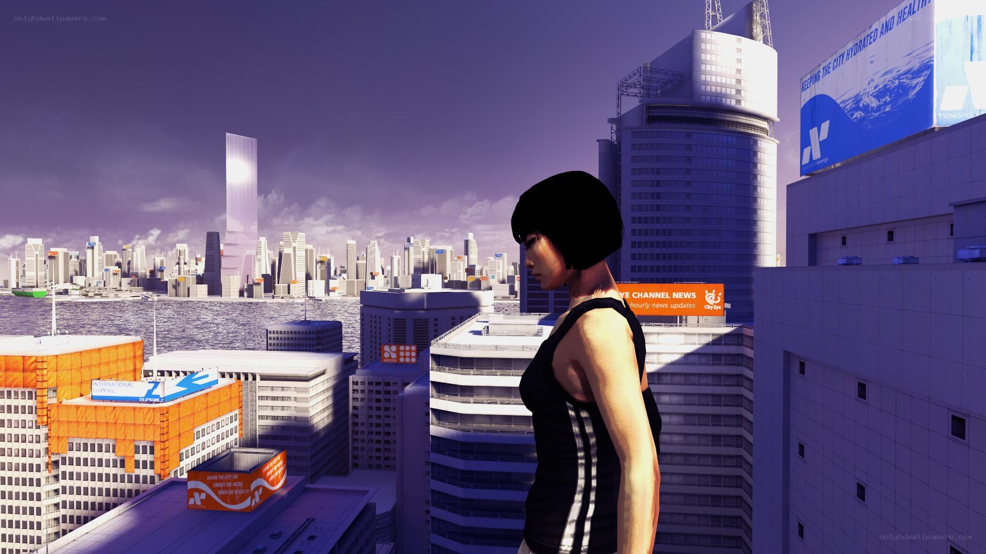 city skyline from rooftop