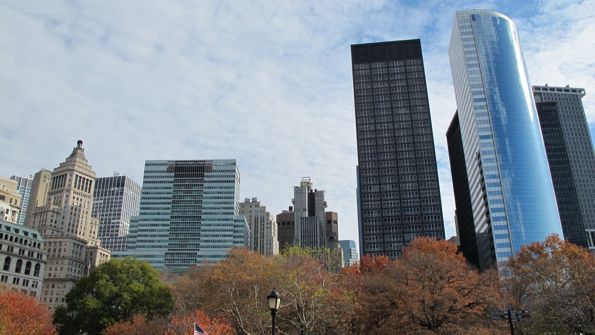 city skyline with autumn trees