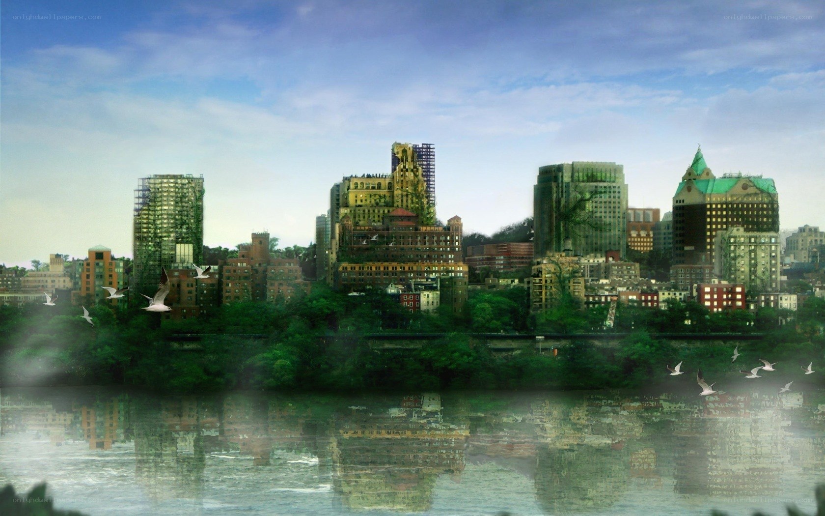 city skyline with birds