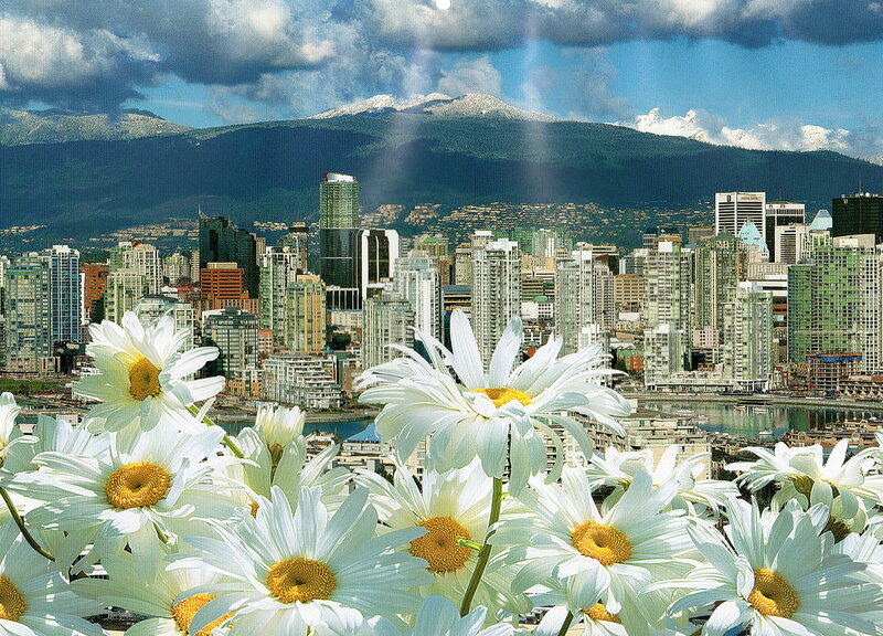 City skyline with daisies and mountains