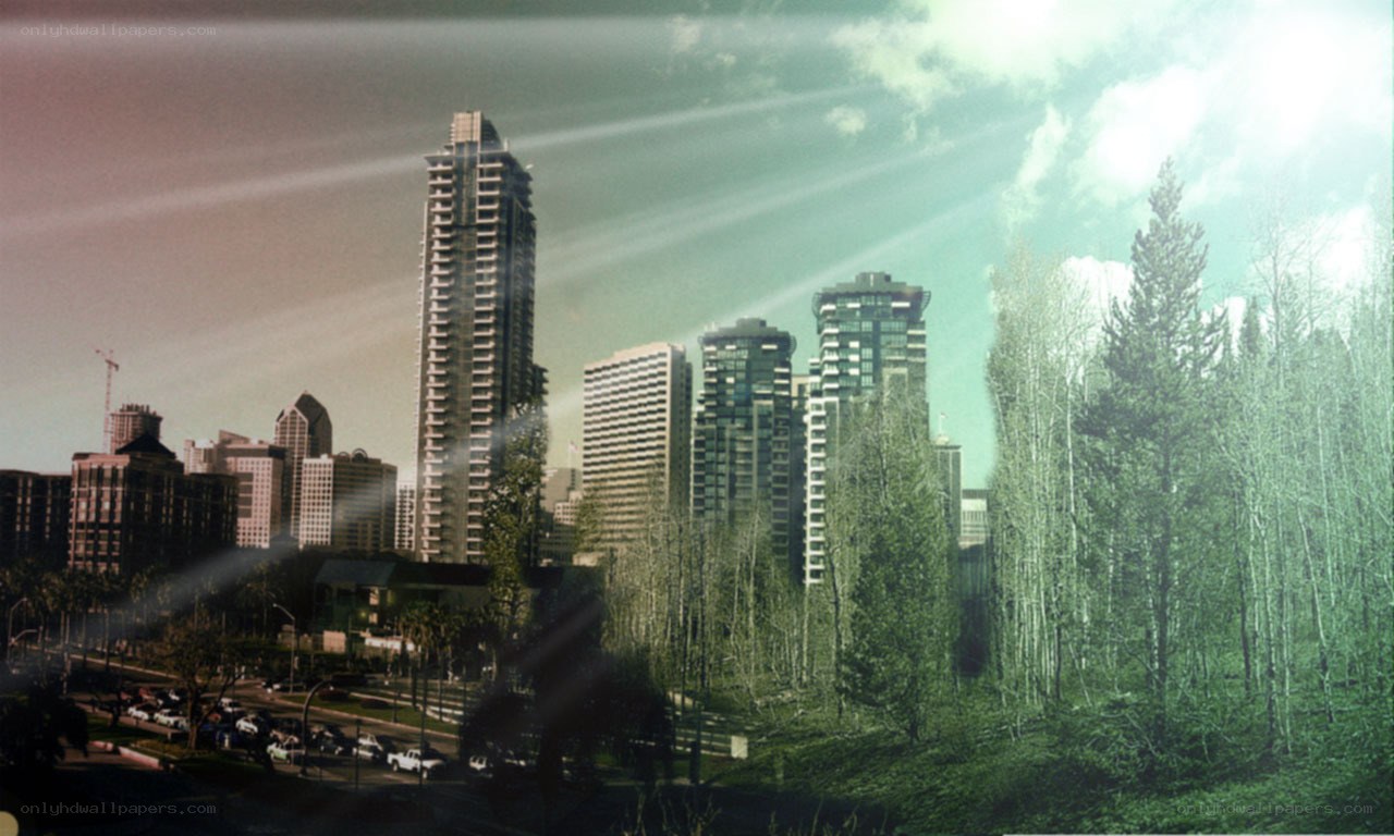 City skyline with forest