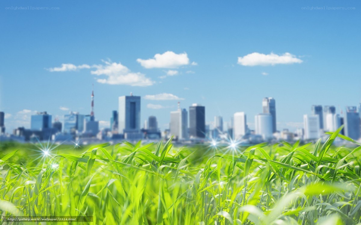 City skyline with green grass