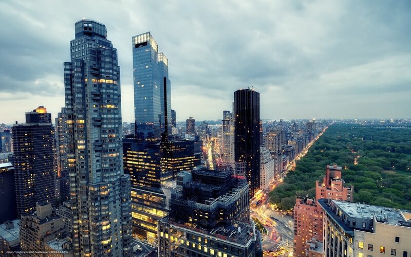 City Skyline with Park — Gray