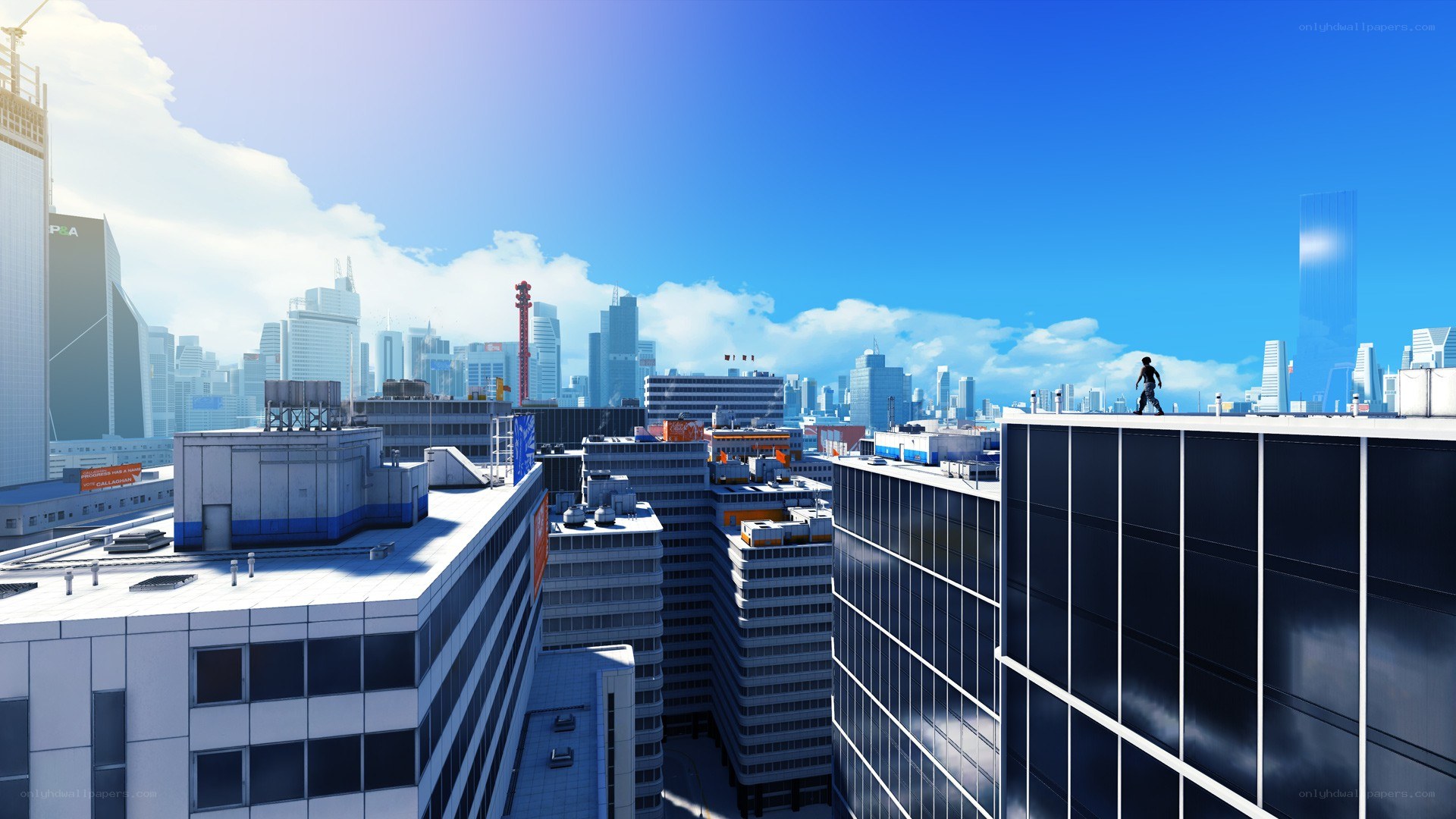city skyline with rooftop view