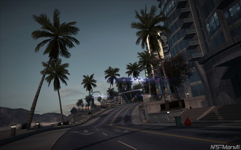 city street at dusk with palm trees