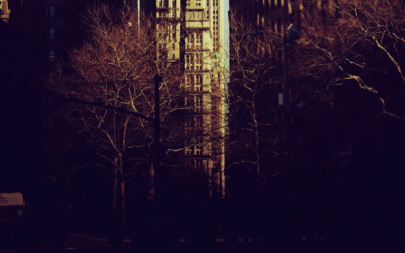 City street at golden hour