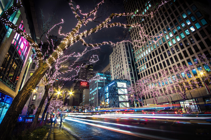 City Street at Night — Black, Dramatic, Photograph, Buildings, Trees