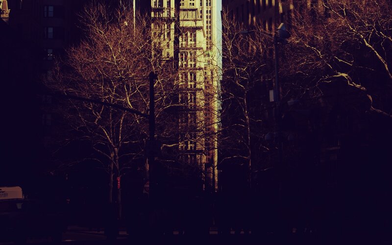 City street with bare trees