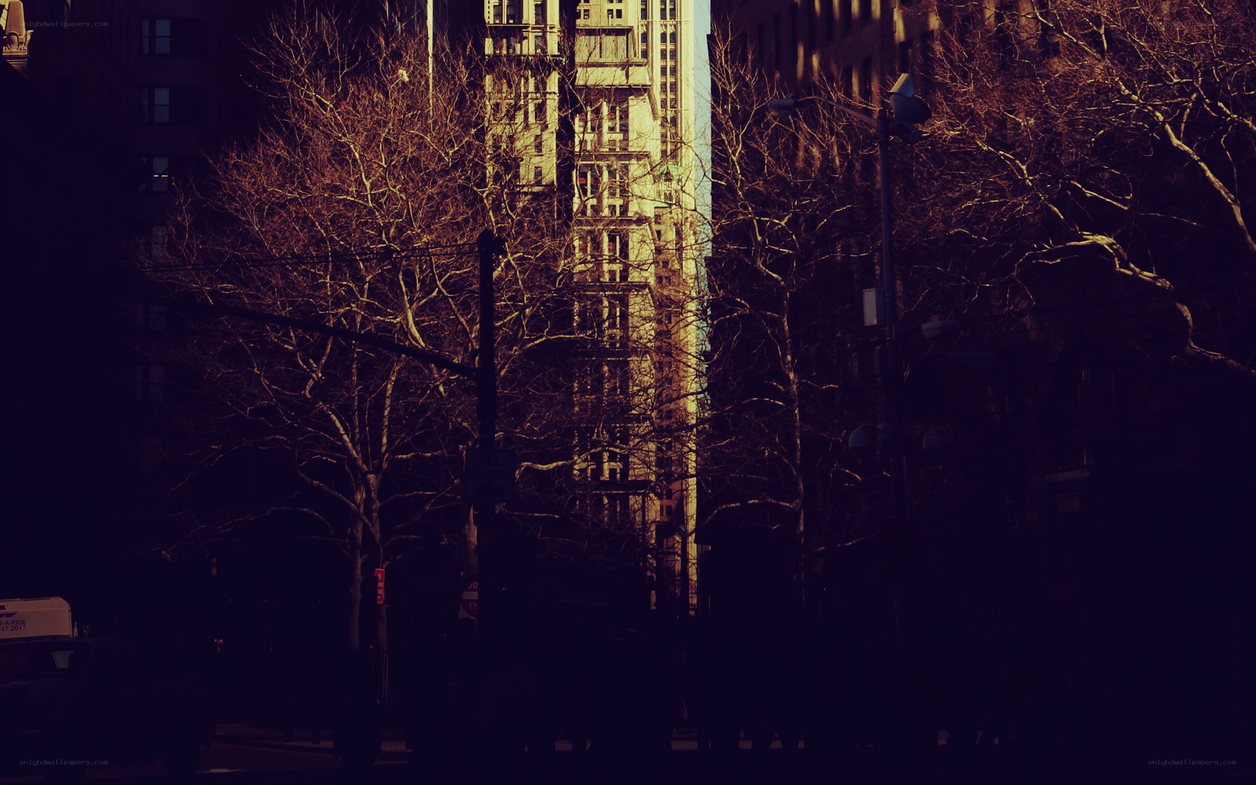 City street with bare trees