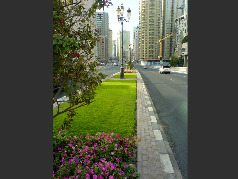 City Street with Green Median