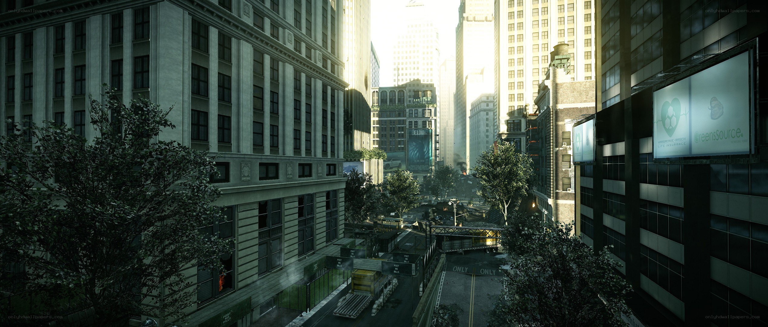 city street with overgrown trees