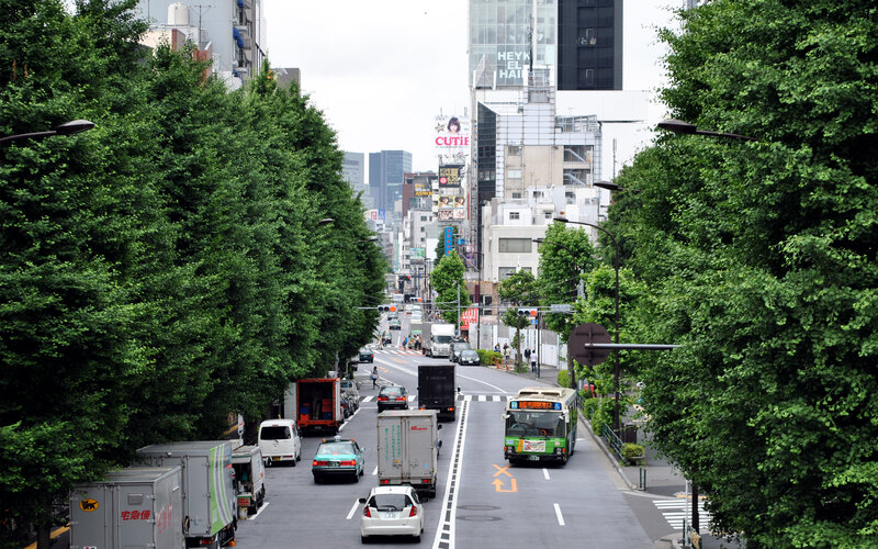 City Street with Traffic — Green