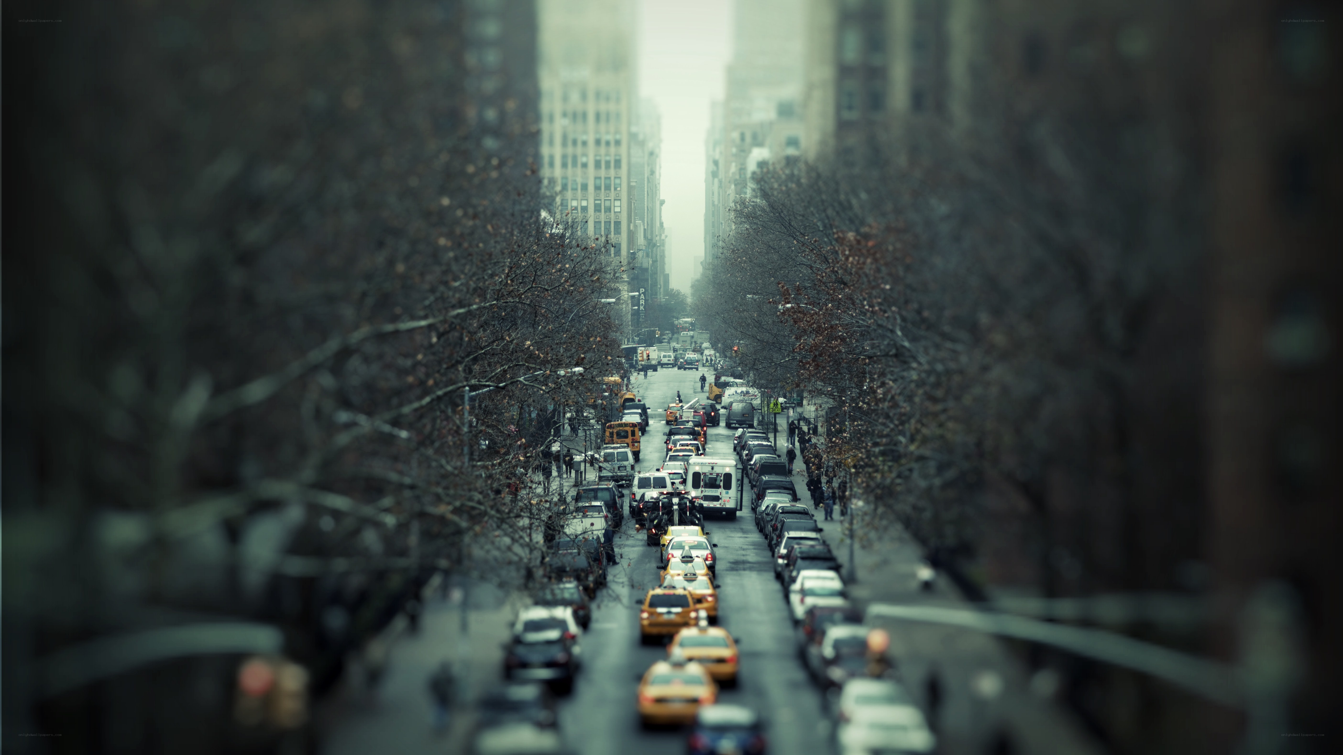 City street with traffic