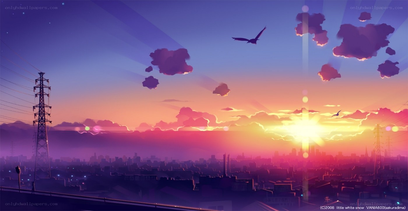 City sunset with birds