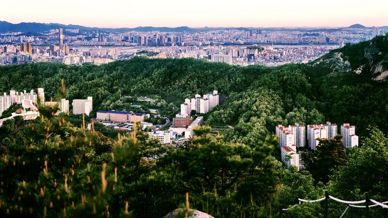 City view from a forested hill