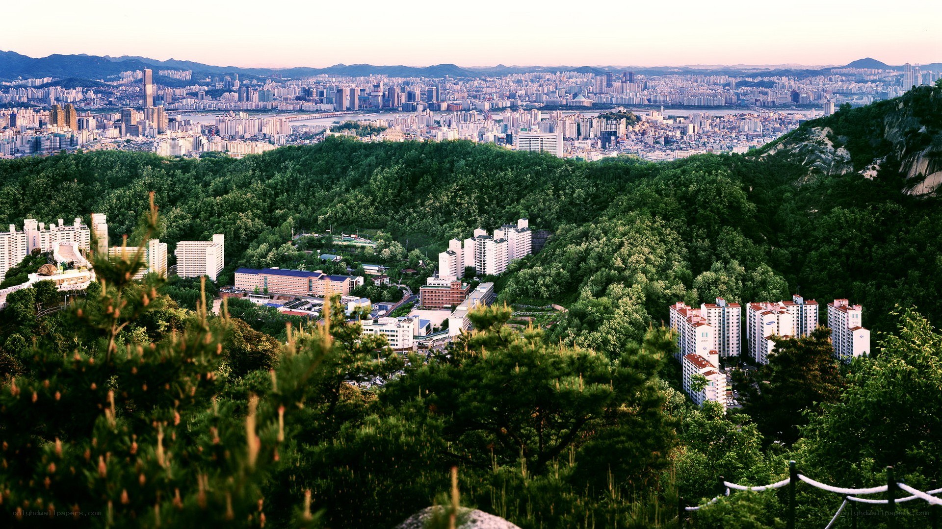City view from a forested hill